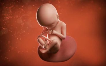 Kentucky suspende abortos en clínicas