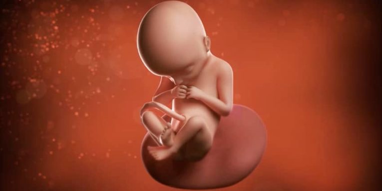 Kentucky suspende abortos en clínicas